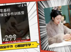 小集电商水晶直播带货课-抖音电商教程-赚金金-技能学习分享