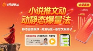 8月小说推文全新玩法,动静态图片+搭配小说文案爆量玩法-赚金金-技能学习分享