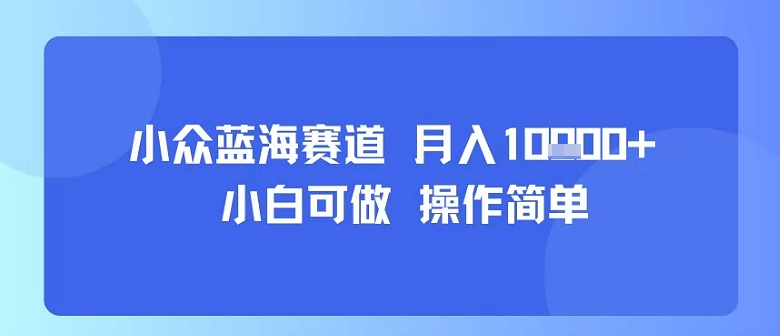 小众蓝海赛道，小白可做，操作简单，每天30分钟，月入1W+-赚金金-技能学习分享
