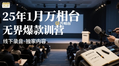 25年1月万相台无界爆款特训营线下录音-赚金金-技能学习分享