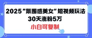 不露脸也能火!2025“氛围感美女”短视频玩法,30天涨粉5W小白可复制-赚金金-技能学习分享