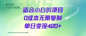 适合小白的项目0成本无限复制单日变现4张+-赚金金-技能学习分享