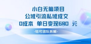 小白无脑项目公域引流私域成交0成本单日变现680米-赚金金-技能学习分享