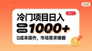 在小红书上发现个冷门路子，需求不小，零成本操作，每天能有1k进账-赚金金-技能学习分享