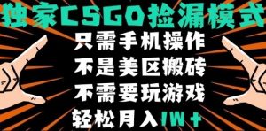 CSGO自动捡漏项目，最新独家玩法，不是美区搬砖，不需要了解和玩游戏，新手小白轻松月入1W+【揭秘】-赚金金-技能学习分享