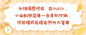 女性情感项目 小白制作简单一台手机可做 项目模式后续自然升大客单 日入6张-赚金金-技能学习分享