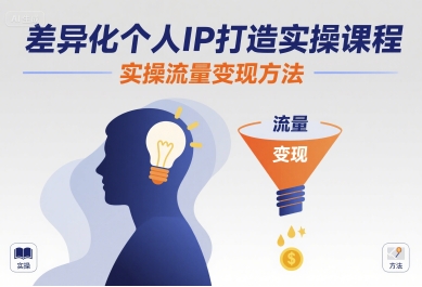 差异化个人IP打造实操课程，实操流量变现方法-赚金金-技能学习分享
