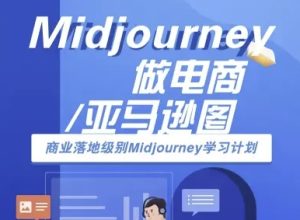 拼多多店快速上手版电商会计实操-电商财务教程-赚金金-技能学习分享