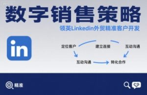 数字销售策略领英LinkedIn外贸精准客户开发-赚金金-技能学习分享