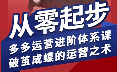 拼多多运营进阶系统课，从零起步，多多运营进阶体系课，破茧成蝶的运营之术-赚金金-技能学习分享