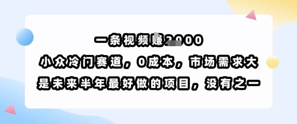 一条视频挣1k，小众冷门赛道，0成本，市场需求大，是未来半年最好做的项目，没有之一-赚金金-技能学习分享