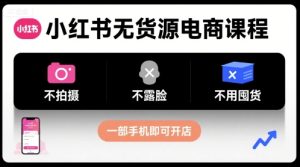 小红书无货源电商课程，不拍摄不露脸不用囤货，一部手机即可开店-赚金金-技能学习分享