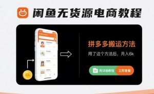 闲鱼无货源电商教程,拼多多搬运方法,用了这个方法后,月入6k(附详细教程)-赚金金-技能学习分享