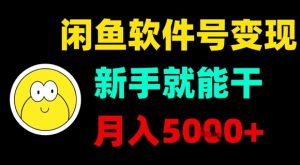 闲鱼软件号变现,新手就能干,月入5k+-赚金金-技能学习分享