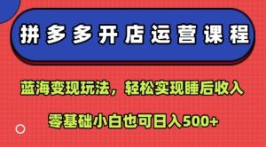 拼多多开店运营课程:蓝海变现玩法,轻松实现睡后收入,零基础小白也可日入5张-赚金金-技能学习分享