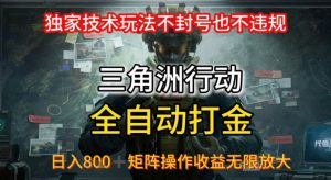 三角洲最新全自动G机,独家技术玩法,不封号也不违规, 日入8张+可矩阵操作,收益无限放大【揭秘】-赚金金-技能学习分享