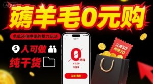 薅羊毛0元购,免单还倒挣钱的暴力玩法,人人可做,纯干货-赚金金-技能学习分享