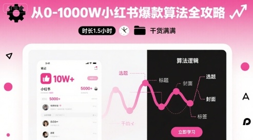 从0-1000W小红书爆款算法全攻略，时长1.5小时，干货满满-赚金金-技能学习分享