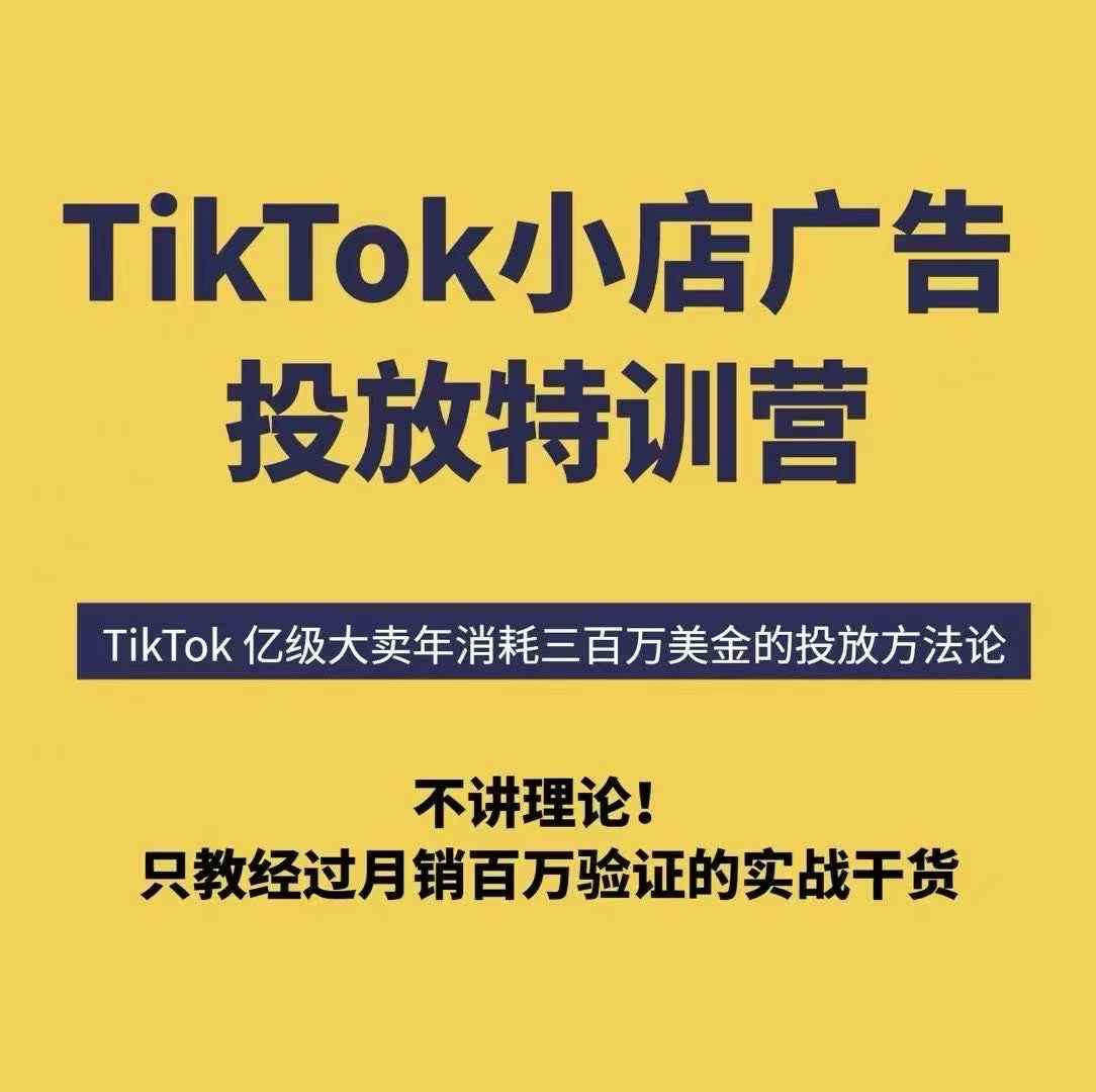 TikTok小店广告投放特训营，6天破局计划专治各种“投不动”，教你经过月销百万验证的实战干货-赚金金-技能学习分享