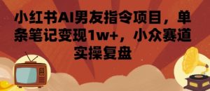 小红书AI男友指令项目,单条笔记变现1w+,小众赛道实操复盘-赚金金-技能学习分享