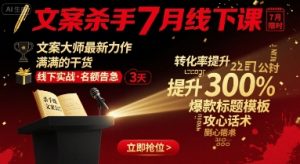 文案杀手7月线下课,文案大师最新力作,满满的干货-赚金金-技能学习分享