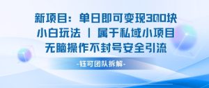新项目单日即可变现3张的小白玩法无脑操作不封号安全引流-赚金金-技能学习分享