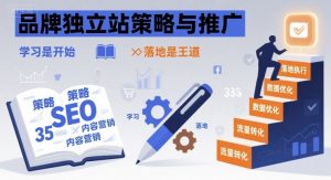 品牌独立站策略与推广,学习是开始,落地是王道-赚金金-技能学习分享