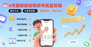 8月最新微信视频号批量剪辑操作方法及变现流程,简单操作,月入1w+-赚金金-技能学习分享