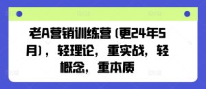 老A营销训练营(更25年8月),轻理论,重实战,轻概念,重本质-赚金金-技能学习分享