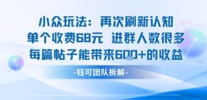 小众玩法再次刷新认知单个收费68米进群人数很多每篇帖子能带来6张的收益-赚金金-技能学习分享
