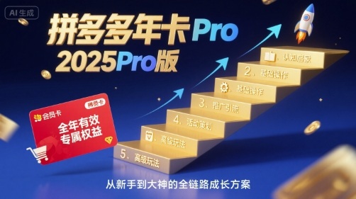 拼多多年卡2025Pro版，五大板块从认知到基础、从推广到活动、从活动到玩法-赚金金-技能学习分享