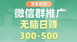 首发项目,微信群推广,一天15单,每单利润10米,无脑日入3-5张【揭秘】-赚金金-技能学习分享