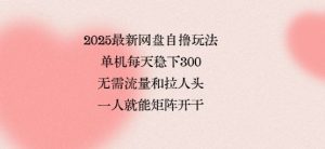 2025最新网盘自撸玩法,单机每天稳下3张,无需流量和拉人头,一个人就可轻松矩阵,全网独一份【揭秘】-赚金金-技能学习分享