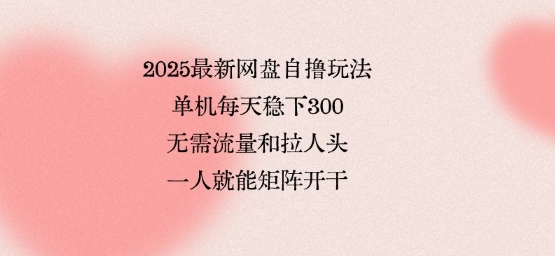 2025最新网盘自撸玩法，单机每天稳下3张，无需流量和拉人头，一个人就可轻松矩阵，全网独一份【揭秘】-赚金金-技能学习分享