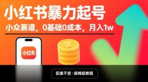 小红书暴力起号,小众赛道,0基础0成本,月入1w-赚金金-技能学习分享