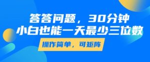 答答问题,30分钟,小白也能一天最少也有三位数,操作简单-赚金金-技能学习分享