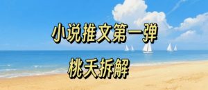小说推文项目操作全流程第一弹,0粉就能做,门槛低非常适合新手-赚金金-技能学习分享