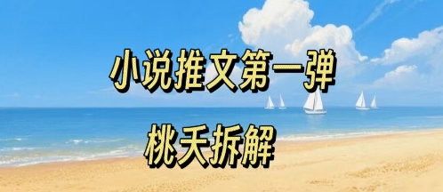 小说推文项目操作全流程第一弹，0粉就能做，门槛低非常适合新手-赚金金-技能学习分享