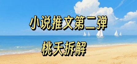 小说推文项目操作全流程第二弹，0粉就能做，门槛低非常适合新手-赚金金-技能学习分享
