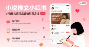 小说推文小红书高转化引导方法实操课,小说推文高效且正确引导方法-赚金金-技能学习分享
