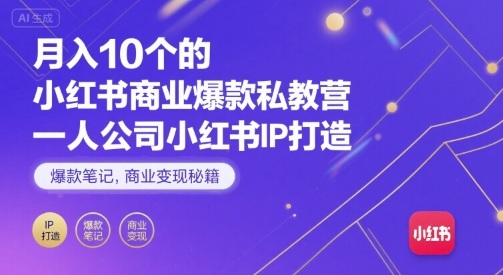 月入10个的小红书商业爆款私教营，一人公司小红书IP打造，爆款笔记，商业变现秘籍-赚金金-技能学习分享
