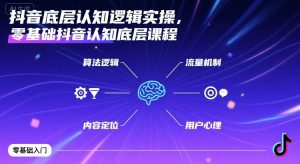 抖音底层认知逻辑实操,零基础抖音认知底层课程-赚金金-技能学习分享