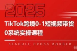 TikTok跨境0-1短视频带货,系统拆解TikTok跨境带货全链路,实现跨境可持续盈利-赚金金-技能学习分享