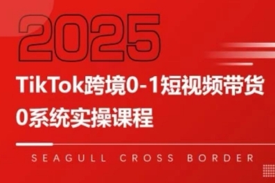 TikTok跨境0-1短视频带货，系统拆解TikTok跨境带货全链路，实现跨境可持续盈利-赚金金-技能学习分享