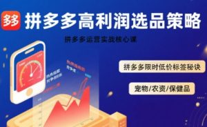 拼多多选品暴利技术实战课,拼多多高利润选品策略,拼多多限时低价标签秘诀-赚金金-技能学习分享