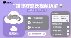 猫咪疗愈长视频拆解 &油管频道运营技巧-赚金金-技能学习分享