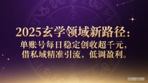 2025玄学领域新路径:单账号每日稳定创收1k+,借私域精准引流,低调盈利-赚金金-技能学习分享