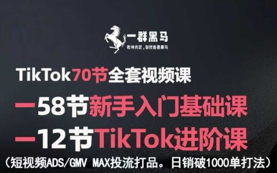 TikTok全套视频课，新手入门+进阶课，短视频ADS-GMV MAX投流打品，日销破1000单打法-赚金金-技能学习分享