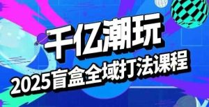 2025盲盒全域全套打法课,盲盒起号、选品、话术、私域等-赚金金-技能学习分享