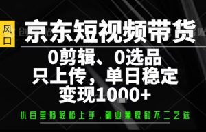 你出账号,我来运营,保底日入1k+,开启躺賺模式【揭秘】-赚金金-技能学习分享